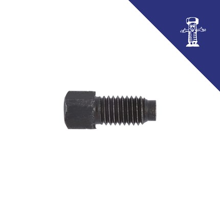 Vijak sa čet.glavom DIN 479 M 10x30 Fe