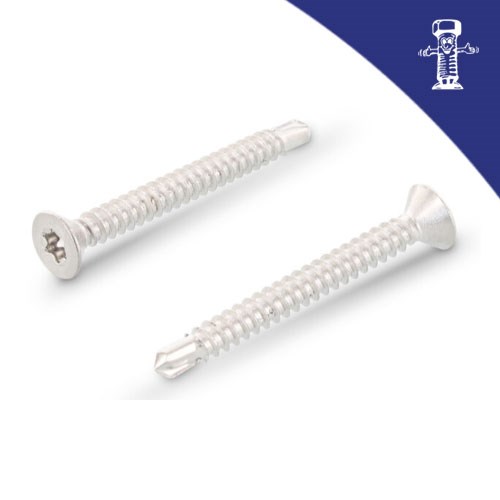 Vijak za lim DIN 7504P 5.5x50 A4 TX25