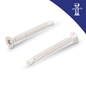 Vijak za lim DIN 7504P 5.5x50 A4 TX25